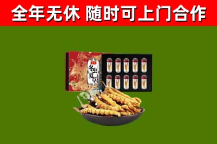 新泰市回收冬虫夏草价格